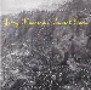 Jerry Harrison: Casual Gods (CD) - Bild 1