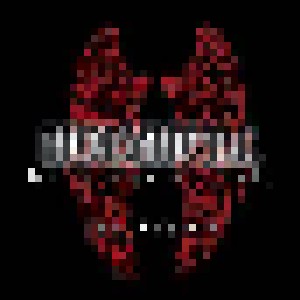 HolyHell: Darkness Visible - The Warning (Mini-CD / EP) - Bild 1