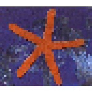 Fish: 13th Star (CD) - Bild 1