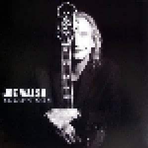 Joe Walsh: Analog Man (LP) - Bild 1