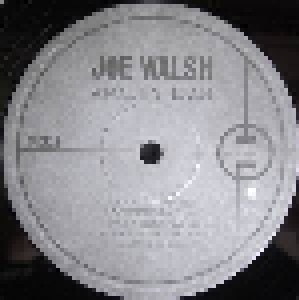 Joe Walsh: Analog Man (LP) - Bild 3