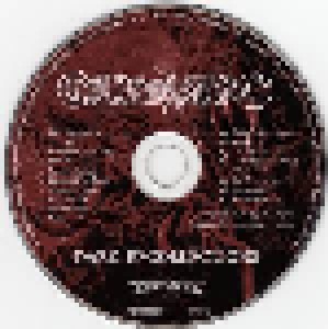 Carnage: Dark Recollections (CD) - Bild 7