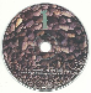 Jamiroquai: Synkronized (CD) - Bild 3