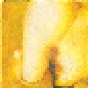 The Smashing Pumpkins: Pisces Iscariot (2-LP) - Bild 1