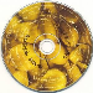 Alanis Morissette: The Collection (CD + DVD) - Bild 3