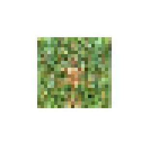 Bill Laswell: Emerald Aether: Shape Shifting (CD) - Bild 1
