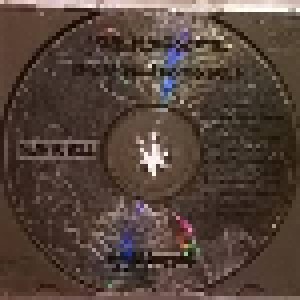 Eric Ambel & Roscoe's Gang: Loud & Lonesome (CD) - Bild 3