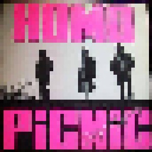 Homo Picnic: Days Of Grey (LP) - Bild 1
