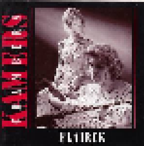 Flairck: Kamers / Chambers (CD) - Bild 1