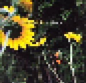 Darden Smith: Sunflower (CD) - Bild 1