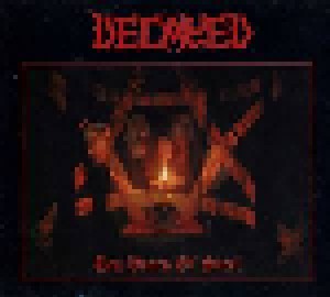 Decayed: Ten Years Of Steel (CD) - Bild 1