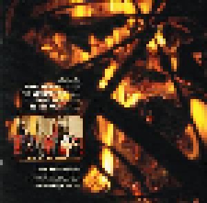 Audioslave: Audioslave (CD) - Bild 6