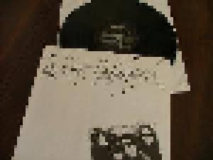 The Velvet Underground: VU Box (5-LP) - Bild 4