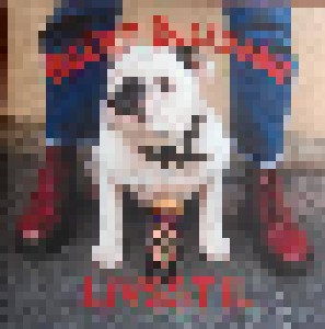 Agent Bulldogg: Livsstil (2-LP) - Bild 1