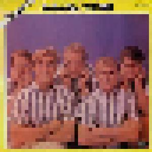 The Beach Boys: 1962-1965 - Cover
