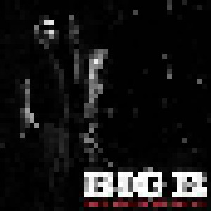 Cover - Big B: Good Times & Bad Advice