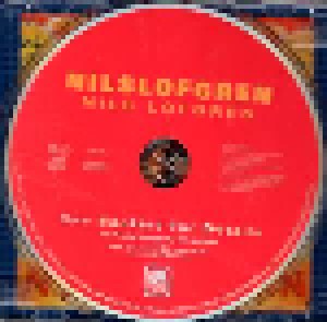 Nils Lofgren: Nils Lofgren (CD) - Bild 3