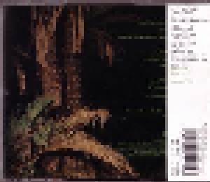 Echo & The Bunnymen: Evergreen (CD) - Bild 2