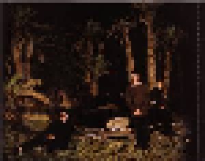 Echo & The Bunnymen: Evergreen (CD) - Bild 7