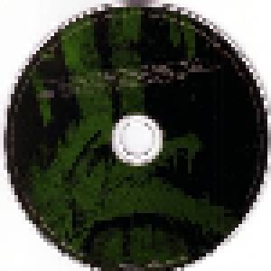 Echo & The Bunnymen: Evergreen (CD) - Bild 9