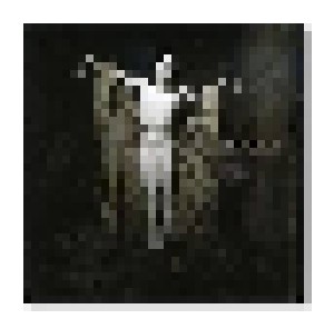 Sopor Aeternus & The Ensemble Of Shadows: Es Reiten Die Toten So Schnell (Or: The Vampyre Sucking At His Own Vein) (CD) - Bild 1