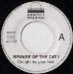 Beware Of The Cat !: Caught By Your Love / Hard World (7") - Bild 3