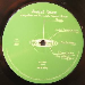 Modest Mouse: Everywhere And His Nasty Parlour Tricks (12") - Bild 4