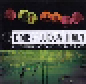 Dave Matthews Band: 05jul09 / Lucca Italy (3-CD) - Bild 1