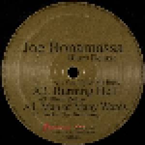 Joe Bonamassa: Blues Deluxe (LP) - Bild 5