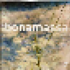 Joe Bonamassa: A New Day Yesterday (LP) - Bild 1