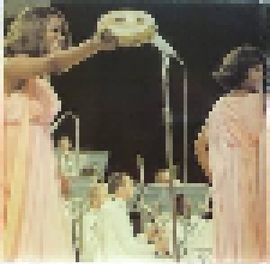 Diana Ross & The Supremes: Supergold (2-LP) - Bild 7