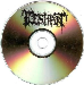 Fleshart: Devoted To Flesh (Demo-CD) - Bild 3