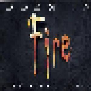Born In Fire - The Fifth Curse - Cover