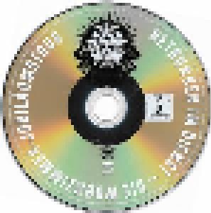 Die Toten Hosen: Noches Como Estas (2-DVD) - Bild 5