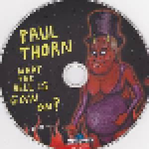 Paul Thorn: What The Hell Is Goin On? (CD) - Bild 3