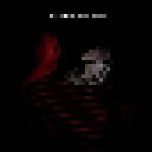 Cover - Martin Prahl: Through The Dark