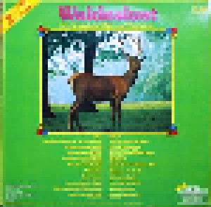 Paul Biste Chor Und Orchester: Waldeslust - Die 20 Schönsten Wald- Und Heidelieder (LP) - Bild 2