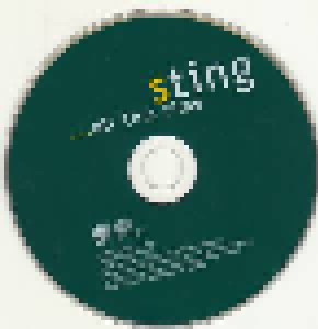 Sting: ...All This Time (CD) - Bild 4