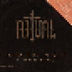 Cover - Ritual: Into The Night