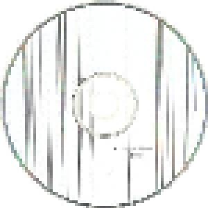 GusGus: (This Is Normal (CD) - Bild 4