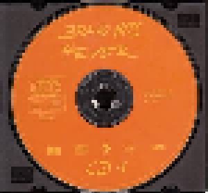 Bravo Hits 04 (2-CD) - Bild 3