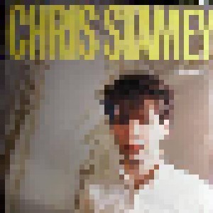 Chris Stamey: It's Alright (LP) - Bild 1