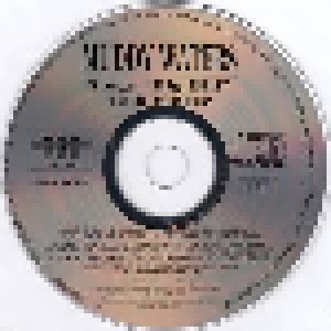 Muddy Waters: Muddy Waters Sings Big Bill Broonzy / Folk Singer (CD) - Bild 7