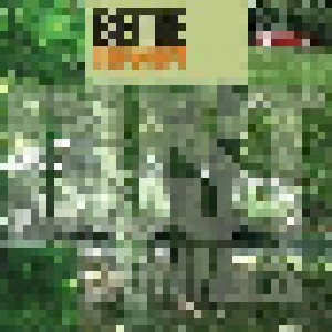 Bettie Serveert: Dust Bunnies (LP) - Bild 1
