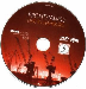 Nighthawks: Live In Hamburg (CD + DVD) - Bild 4
