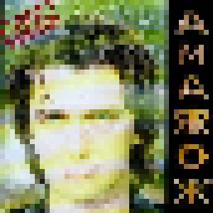 Mike Oldfield: Amarok (CD) - Bild 1