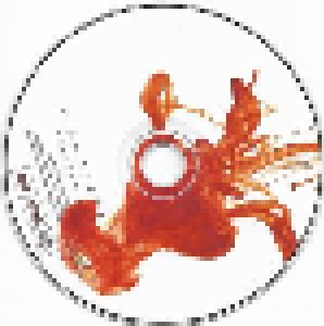 Siddharta: Rh- (CD + DVD) - Bild 3