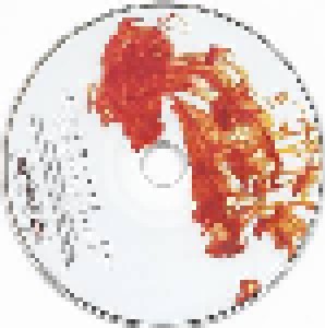 Siddharta: Rh- (CD + DVD) - Bild 4