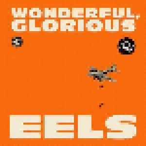 Eels: Wonderful, Glorious (2-10") - Bild 1
