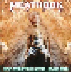Cover - Meathook Seed: B.I.B.L.E.